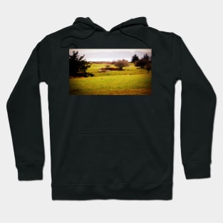 near the mouth of the Columbia River Hoodie